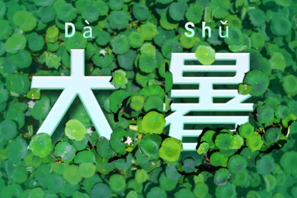 ŷα | ,ʢ